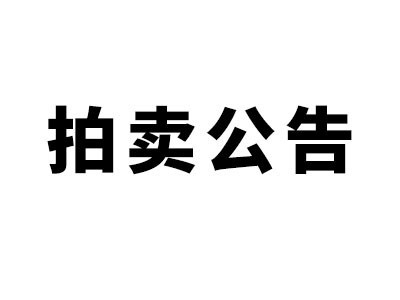 希爾得拍賣|岳陽君山區(qū)停車位（場）及充電基礎設施建設項目特許經(jīng)營權拍賣公告