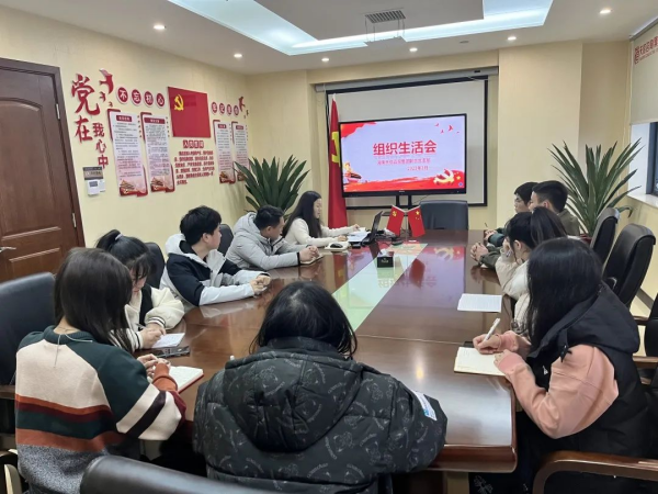  湖南天信咨詢集團(tuán)聯(lián)合黨支部召開組織生活會和開展民主評議黨員工作 